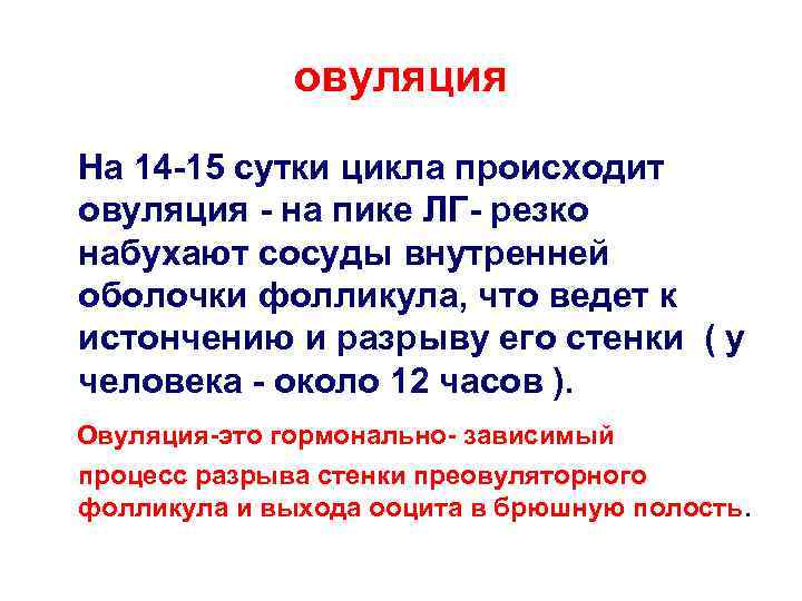 овуляция На 14 -15 сутки цикла происходит овуляция - на пике ЛГ- резко набухают