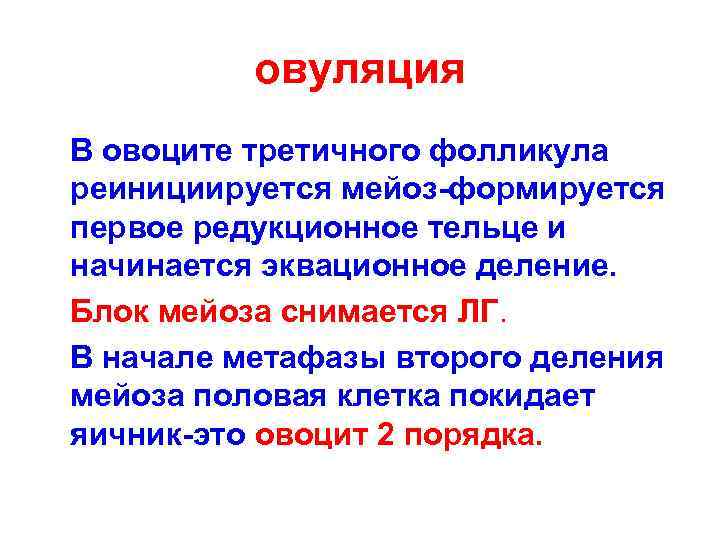 овуляция В овоците третичного фолликула реинициируется мейоз-формируется первое редукционное тельце и начинается эквационное деление.
