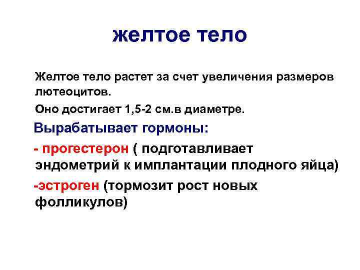 желтое тело Желтое тело растет за счет увеличения размеров лютеоцитов. Оно достигает 1, 5