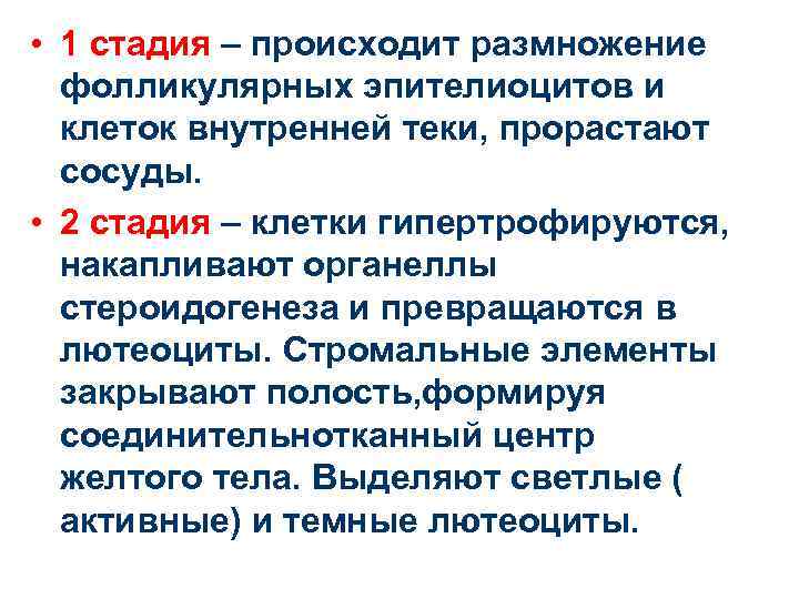  • 1 стадия – происходит размножение фолликулярных эпителиоцитов и клеток внутренней теки, прорастают