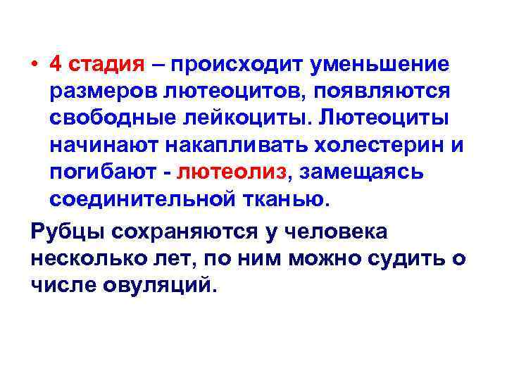  • 4 стадия – происходит уменьшение размеров лютеоцитов, появляются свободные лейкоциты. Лютеоциты начинают