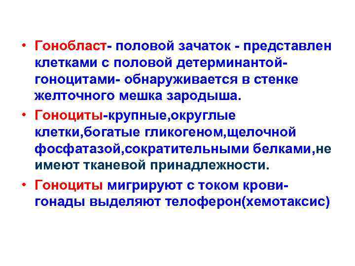  • Гонобласт- половой зачаток - представлен клетками с половой детерминантойгоноцитами- обнаруживается в стенке