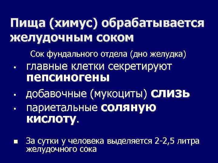 Пища (химус) обрабатывается желудочным соком Сок фундального отдела (дно желудка) • • • главные