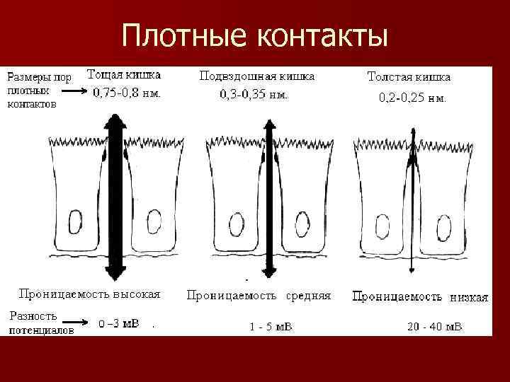 Плотные контакты 