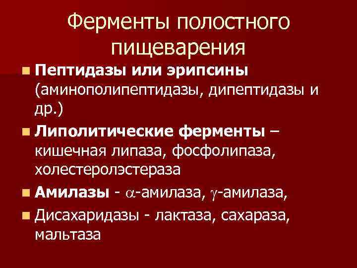 Ферменты полостного пищеварения n Пептидазы или эрипсины (аминополипептидазы, дипептидазы и др. ) n Липолитические