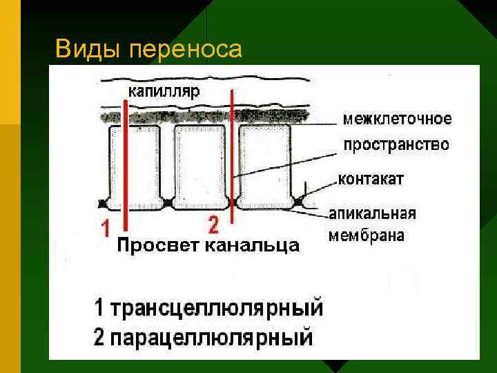 Виды переноса 