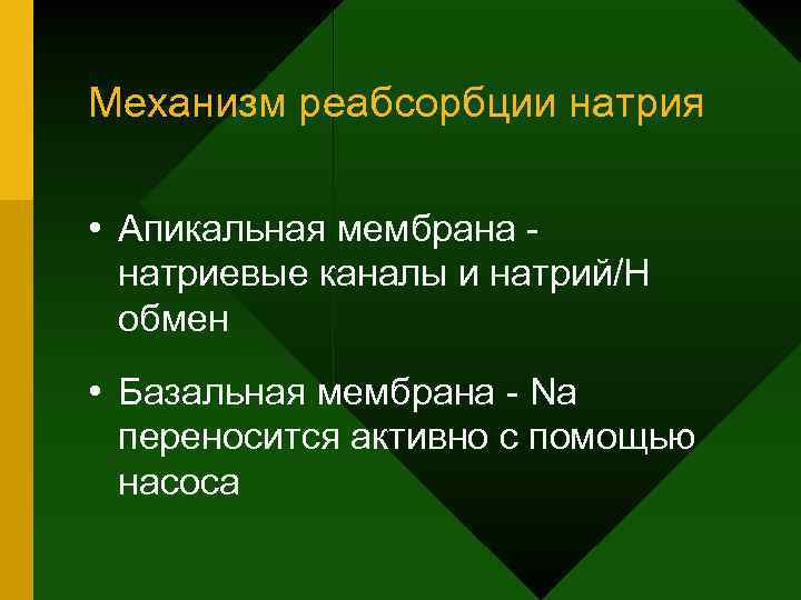 Механизм реабсорбции натрия • Апикальная мембрана натриевые каналы и натрий/Н обмен • Базальная мембрана