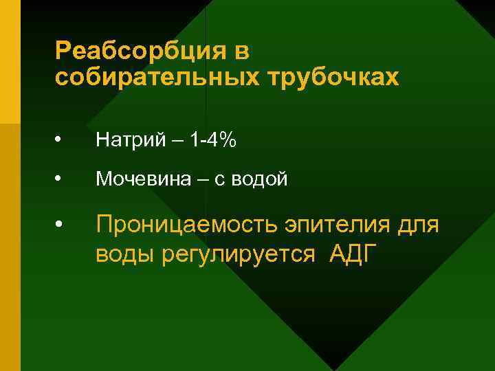 Реабсорбция в собирательных трубочках • Натрий – 1 -4% • Мочевина – с водой