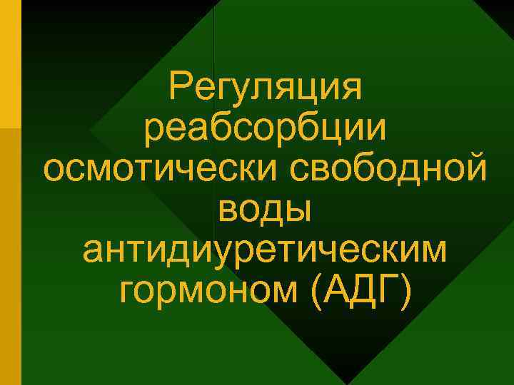 Регуляция реабсорбции осмотически свободной воды антидиуретическим гормоном (АДГ) 