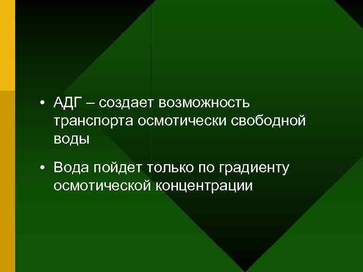  • АДГ – создает возможность транспорта осмотически свободной воды • Вода пойдет только