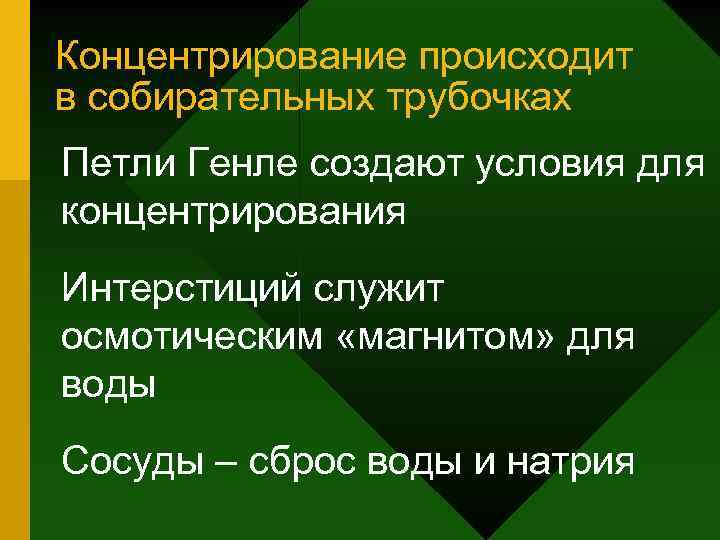 Концентрирование происходит в собирательных трубочках Петли Генле создают условия для концентрирования Интерстиций служит осмотическим