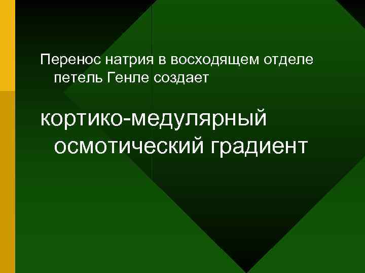 Перенос натрия в восходящем отделе петель Генле создает кортико-медулярный осмотический градиент 