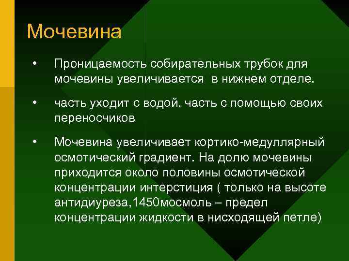 Мочевина • Проницаемость собирательных трубок для мочевины увеличивается в нижнем отделе. • часть уходит