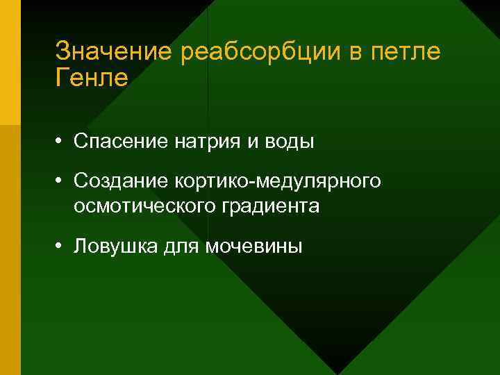 Значение реабсорбции в петле Генле • Спасение натрия и воды • Создание кортико-медулярного осмотического