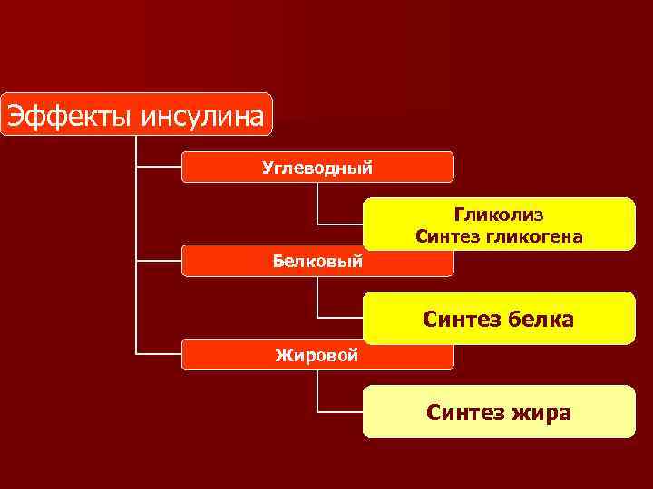 Эффекты инсулина Углеводный Гликолиз Синтез гликогена Белковый Синтез белка Жировой Синтез жира 