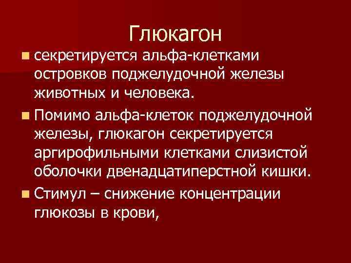 Глюкагон n секретируется альфа-клетками островков поджелудочной железы животных и человека. n Помимо альфа-клеток поджелудочной