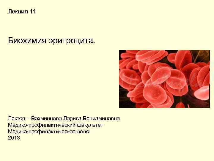 Биохимия эритроцитов. Строение эритроцита биохимия. Особенности строения эритроцитов биохимия. Химический состав эритроцитов биохимия. Гистологическое строение эритроцита биохимия.