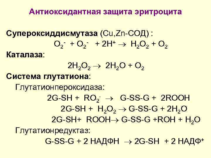 Антиоксидантная защита эритроцита Супероксиддисмутаза (Cu, Zn-СОД) : О 2 - + О 2 -