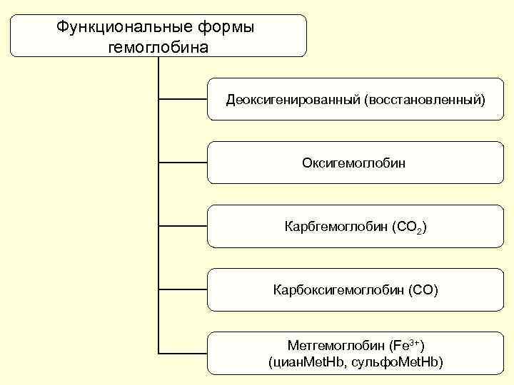 Функциональные формы гемоглобина Деоксигенированный (восстановленный) Оксигемоглобин Карбгемоглобин (СО 2) Карбоксигемоглобин (СО) Метгемоглобин (Fe 3+)