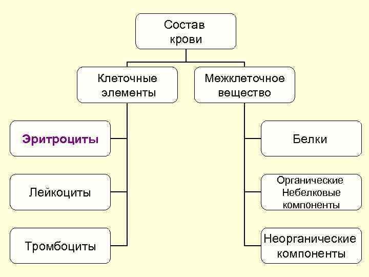 Состав крови Клеточные элементы Межклеточное вещество Эритроциты Белки Лейкоциты Органические Небелковые компоненты Тромбоциты Неорганические