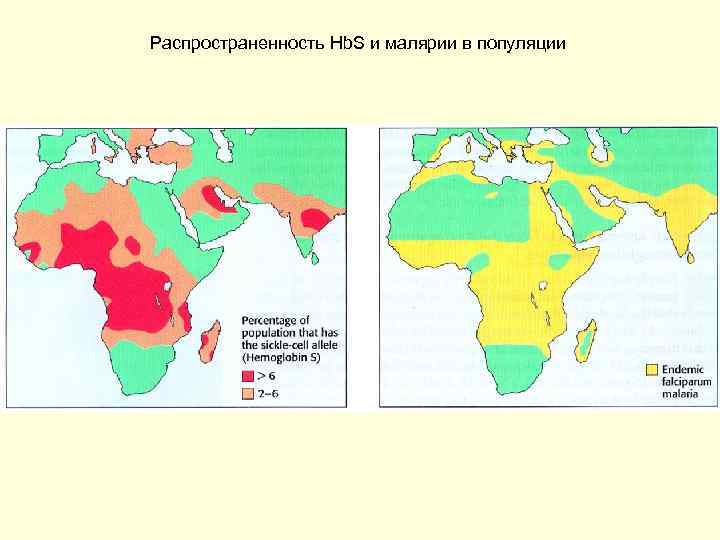 Распространенность Hb. S и малярии в популяции 