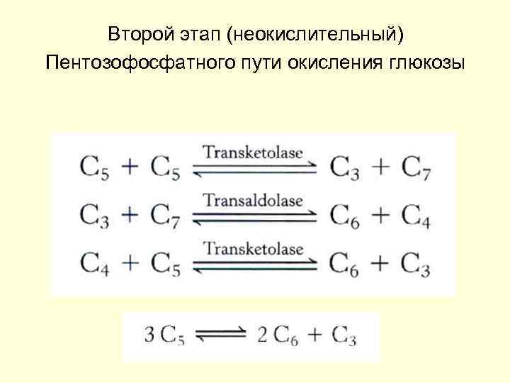 Схема пентозофосфатного пути