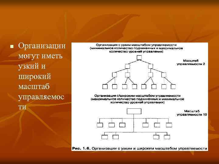 n Организации могут иметь узкий и широкий масштаб управляемос ти 