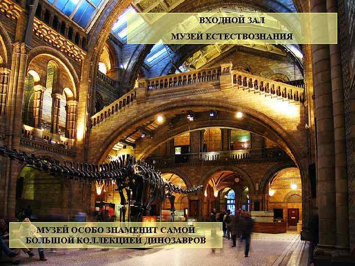 ВХОДНОЙ ЗАЛ МУЗЕЙ ЕСТЕСТВОЗНАНИЯ МУЗЕЙ ОСОБО ЗНАМЕНИТ САМОЙ БОЛЬШОЙ КОЛЛЕКЦИЕЙ ДИНОЗАВРОВ 