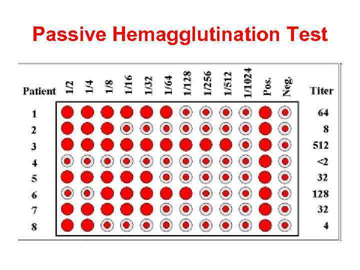 Passive Hemagglutination Test 
