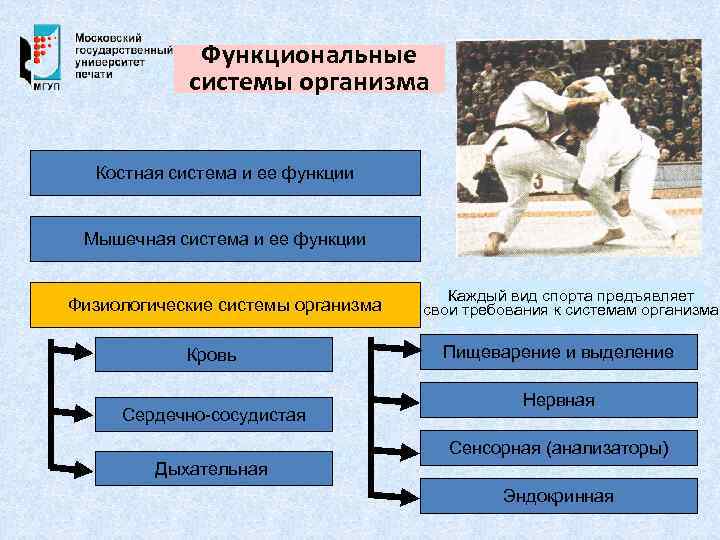 Социально биологические основы физической культуры презентация