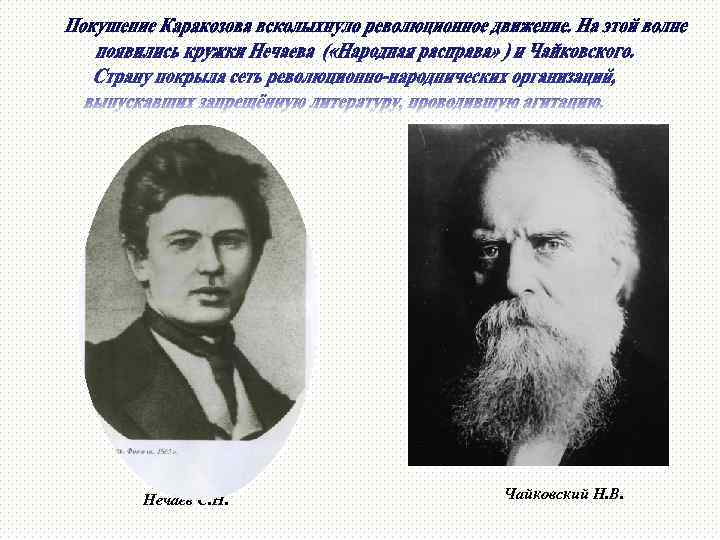 Нечаев С. Н. Чайковский Н. В. 