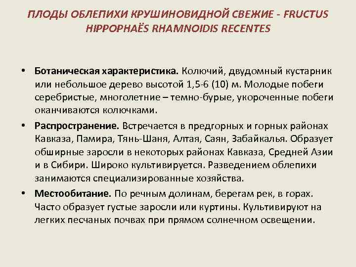 ПЛОДЫ ОБЛЕПИХИ КРУШИНОВИДНОЙ СВЕЖИЕ - FRUCTUS HIPPOPHAËS RHAMNOIDIS RECENTES • Ботаническая характеристика. Колючий, двудомный