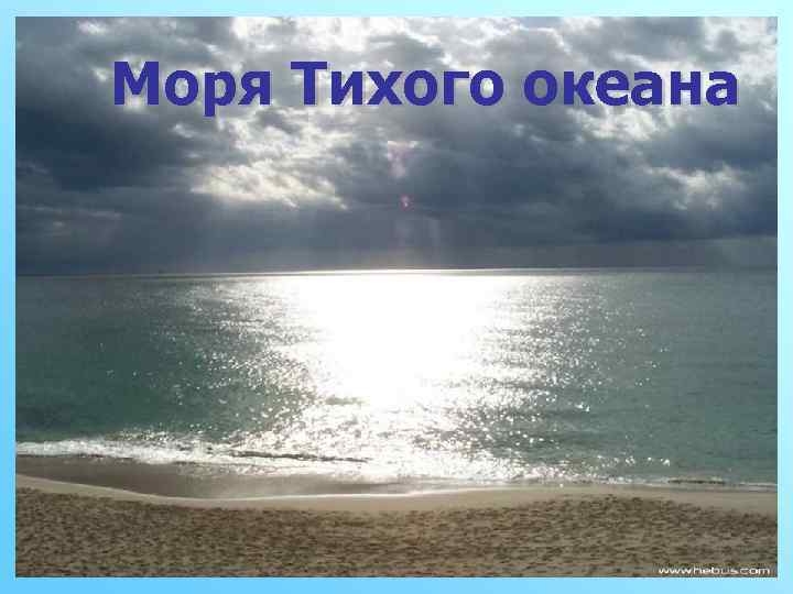 Моря Тихого океана 