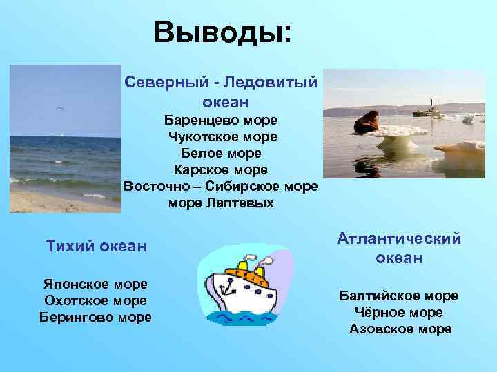 Выводы: Северный - Ледовитый океан Баренцево море Чукотское море Белое море Карское море Восточно