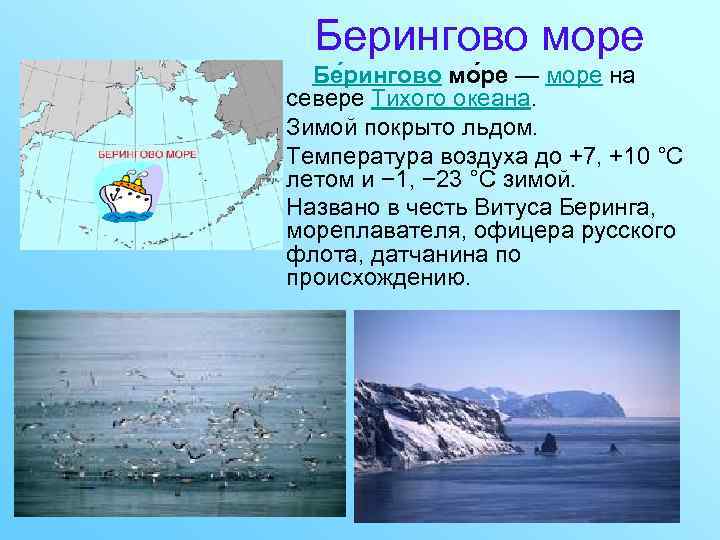Берингово море Бе рингово мо ре — море на севере Тихого океана. Зимой покрыто