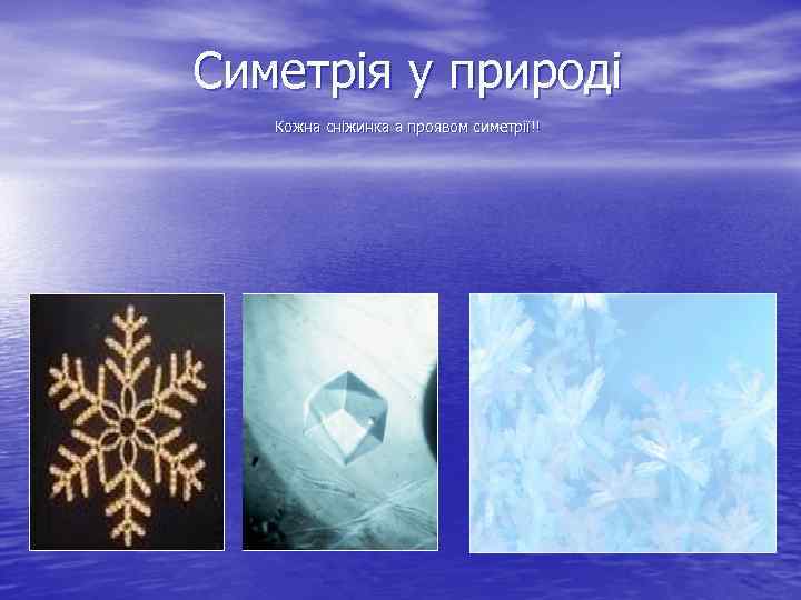 Симетрія у природі Кожна сніжинка а проявом симетрії!! 