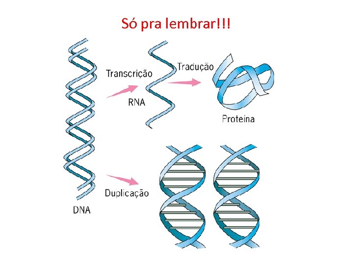 Só pra lembrar!!! 