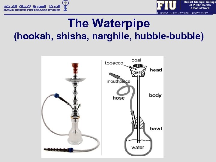 The Waterpipe (hookah, shisha, narghile, hubble-bubble) 