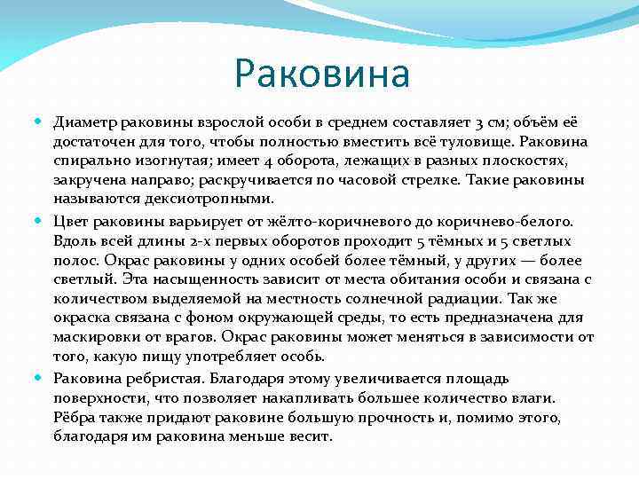 Раковина Диаметр раковины взрослой особи в среднем составляет 3 см; объём её достаточен для