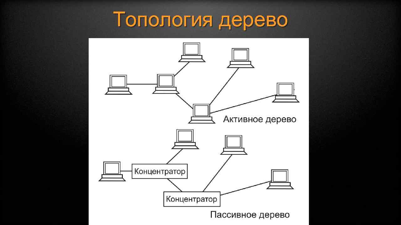 Дерево сети. Схема топологии сети типа 