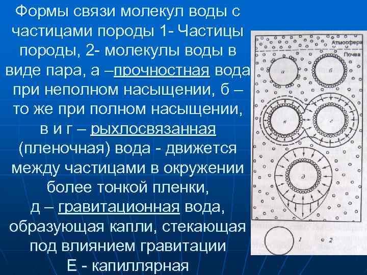 Формы связи молекул воды с частицами породы 1 - Частицы породы, 2 - молекулы