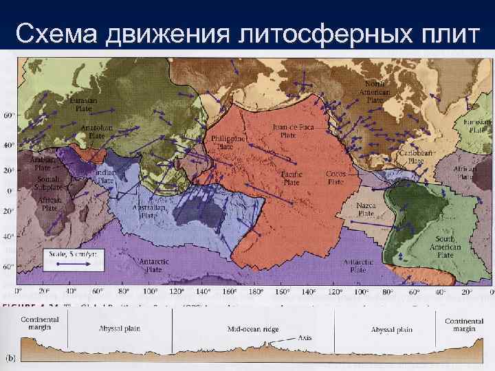 Схема движения литосферных плит 