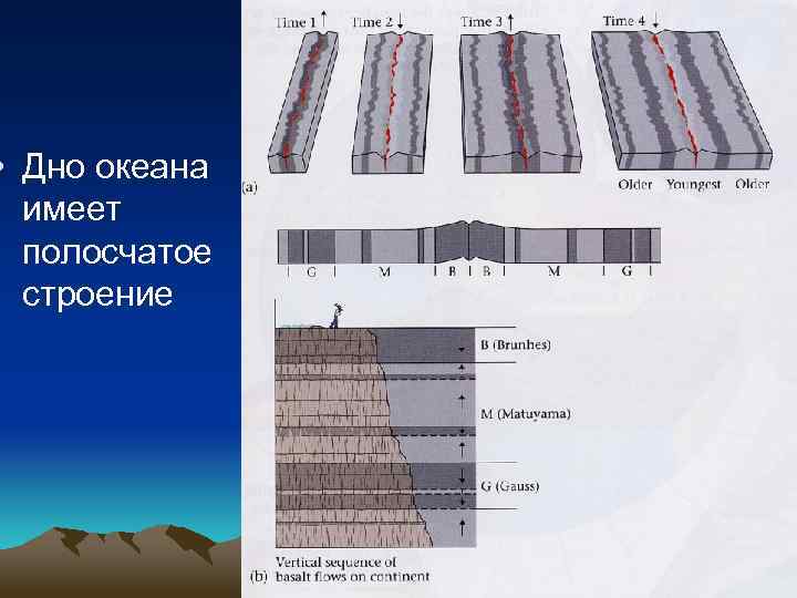  • Дно океана имеет полосчатое строение 