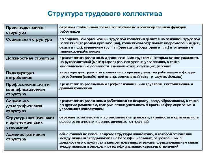 Структура трудового коллектива Производственная структура отражает стабильный состав коллектива по производственной функции работников Социальная