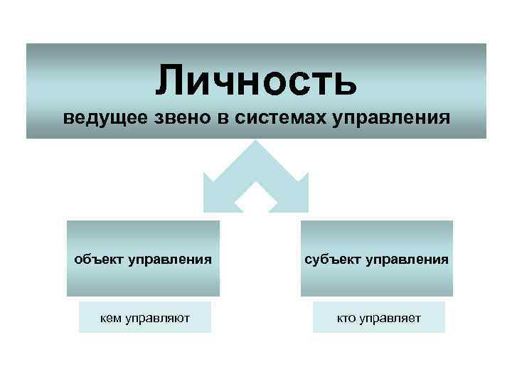 Личность ведущее звено в системах управления объект управления субъект управления кем управляют кто управляет