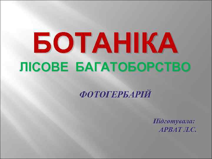 БОТАНІКА ЛІСОВЕ БАГАТОБОРСТВО ФОТОГЕРБАРІЙ Підготувала: АРВАТ Л. С. 