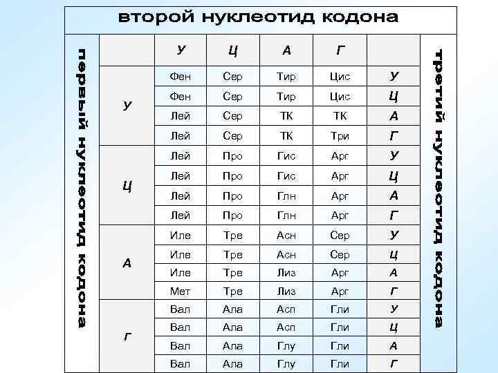 У Тир Цис У Фен Сер Тир Цис Ц Лей Сер ТК ТК А