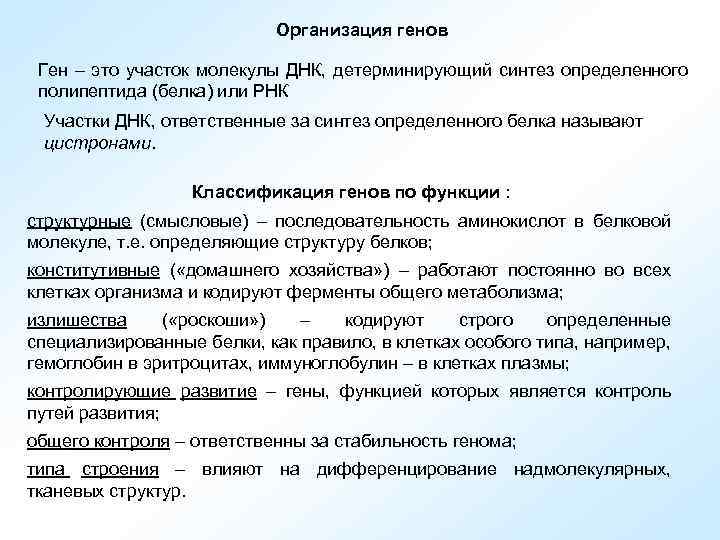 Организация генов Ген – это участок молекулы ДНК, детерминирующий синтез определенного полипептида (белка) или