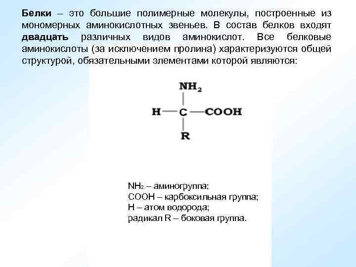 Звено состоит. Мономерные звенья белков. Мономерные звенья белков состоят из. Белки полимеры молекулы которых построены из. Белковая молекула, состоящая из большого числа мономерных звеньев..