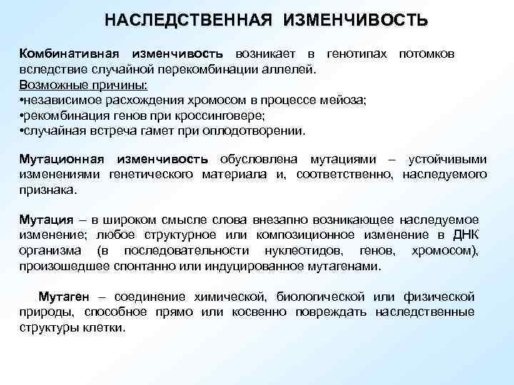 НАСЛЕДСТВЕННАЯ ИЗМЕНЧИВОСТЬ Комбинативная изменчивость возникает в генотипах потомков вследствие случайной перекомбинации аллелей. Возможные причины: